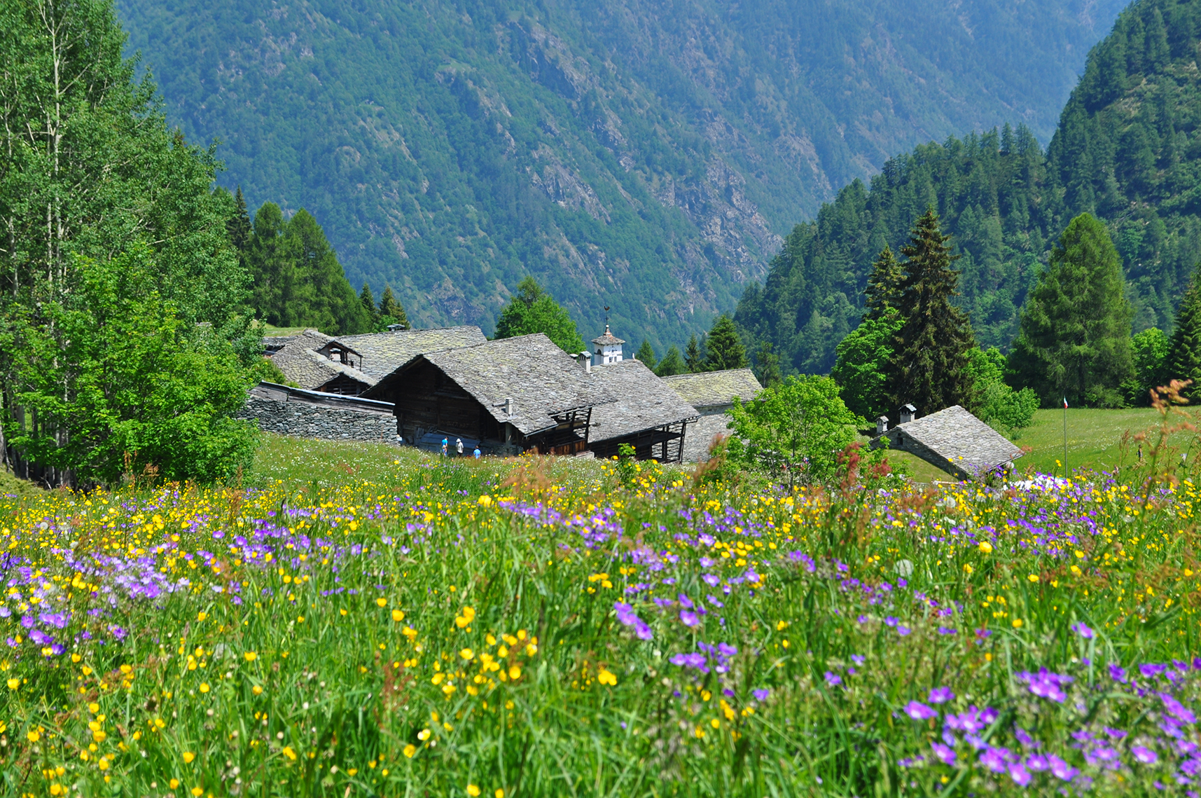 PASSEGGIATE IN VAL VOGNA